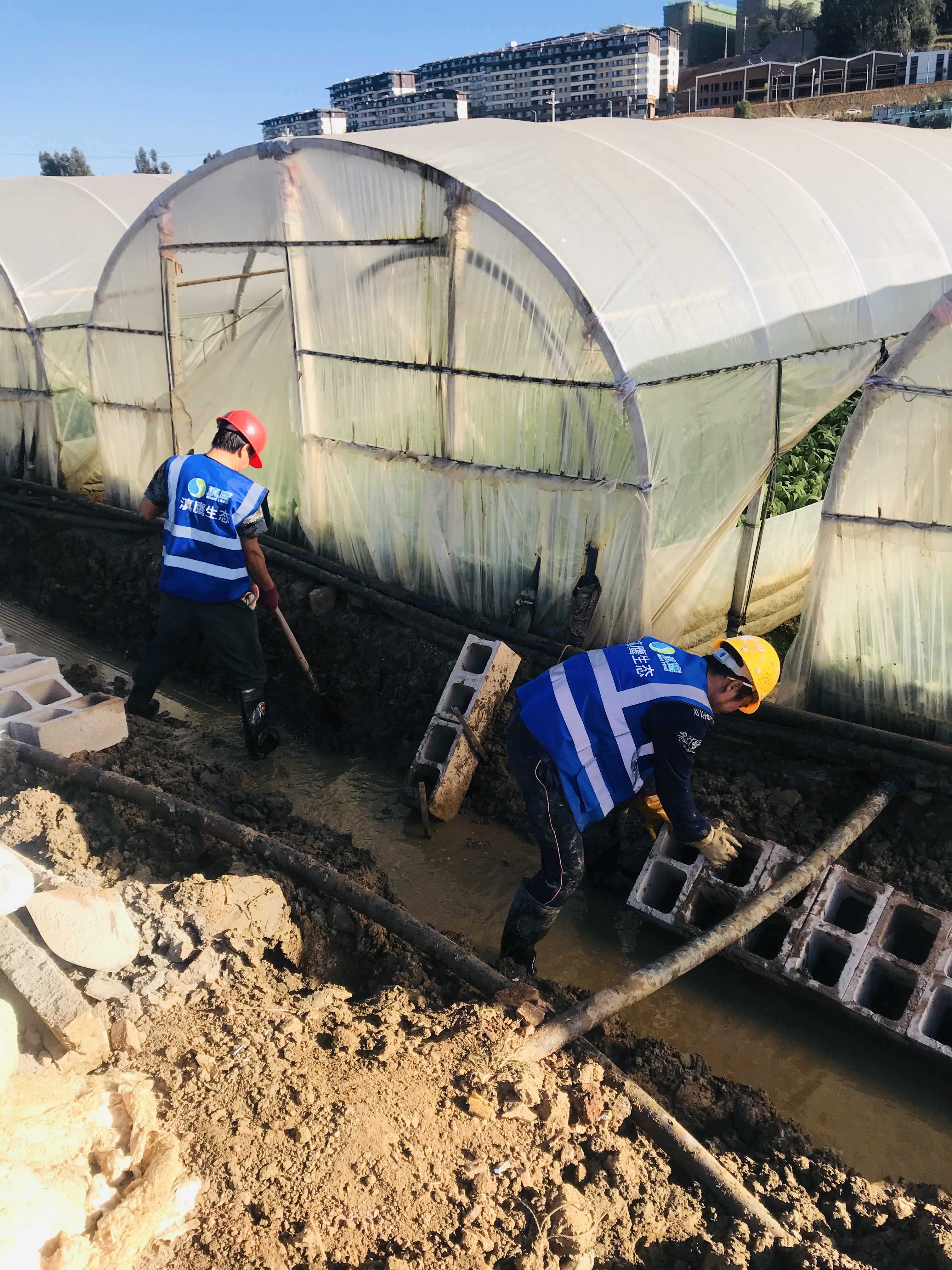 建設美麗云南，滇鷹正在行動(dòng)