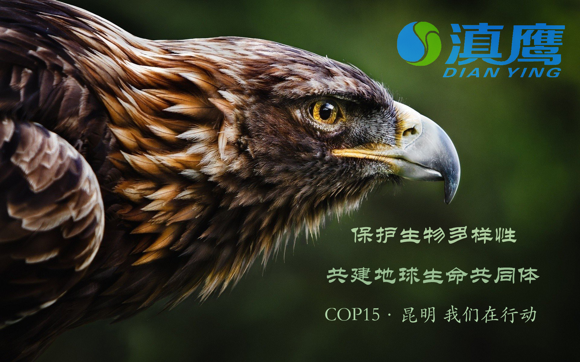 讓綠水青山永續，讓美麗持續綻放