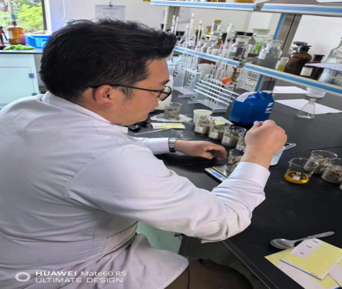 滇鷹生態(tài)建設集團大宗工業(yè)固體廢物磷石膏減害化技術(shù)取得突破